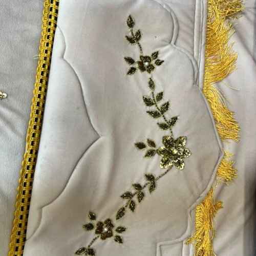 WhatsApp Image 2025-09-30 at 2.19.46 PM (1)